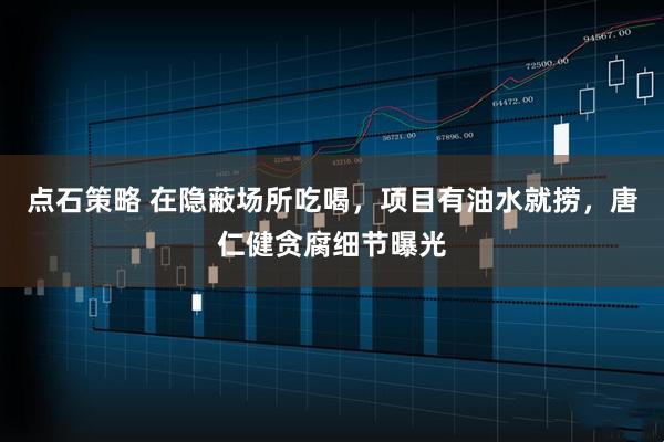 点石策略 在隐蔽场所吃喝，项目有油水就捞，唐仁健贪腐细节曝光